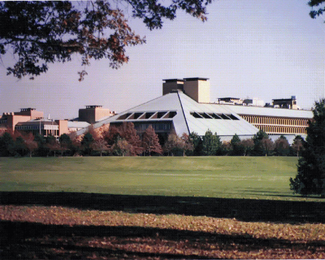 2007 Bell Labs